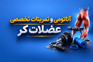 آناتومی و تمرینات تخصصی عضلات کر